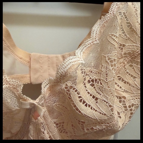 Felina Peridot Lace Underwire Unlined Underwire Bra in Sugar Baby - Picture 7 of 7
